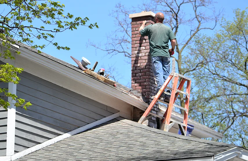 Chimney & Fireplace Inspections Services in Pocatello, ID